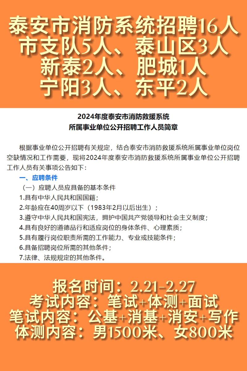 泰安人才网:连接就业机会与求职者的新视窗